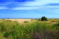 Kent coast nature England Royalty Free Stock Photo