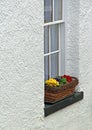 Kent cottage window box flowers