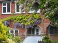 Kent country cottage home with trailing climbing wisteria plant flowers arch porch doorway Royalty Free Stock Photo