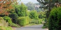 Kent country lane rural countryside trees road hill picturesque Royalty Free Stock Photo