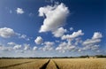 Kent countryside and village