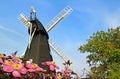 kent windmill and clematis flowers