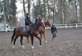 KENTShIN, POLAND. Equestrians astride horses of trakenensky breed. Open arena of stud