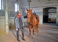 KENTShIN, POLAND. The jockey with a horse of trakenensky breed costs in the stable