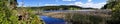 Pano of lake on summer day Royalty Free Stock Photo