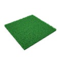 Kentucky Bluegrass Grass on white. 3D illustration Royalty Free Stock Photo