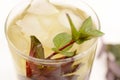 Kentucky derby drink in a glass goblet on a light background.