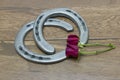 Kentucky Derby red roses with horseshoes