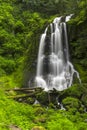 Kentucky Falls, Oregon Waterfall