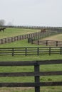 Kentucky Horse Farm Royalty Free Stock Photo