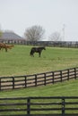 Kentucky Horse Farm Royalty Free Stock Photo