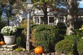 Fall, Autumn, colors, trees, bushes, red, orange, yellow, leaves, Kentucky, farm, country Royalty Free Stock Photo