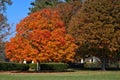 Fall, Autumn, colors, trees, bushes, red, orange, yellow, leaves, Kentucky, farm, country Royalty Free Stock Photo