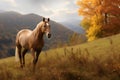 Kentucky Mountain Saddle Horse - United States (Generative AI) Royalty Free Stock Photo