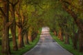 Winding road in beautiful KY spring among the horse farms