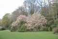 The Kenwood House in London