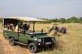 Baby elephant walks near a safari vehicle in the Masaai Mara Reserve, as tourists take photos Royalty Free Stock Photo