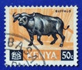 1966 Kenya 50c African buffalo Used stamp Royalty Free Stock Photo