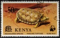 Kenya - circa 1977: A Kenyan postage stamp depicts Pancake Tortoise. Circa 1977