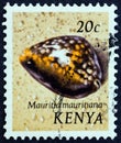 KENYA - CIRCA 1971: A stamp printed in Kenya shows Humpback cowry Mauritia mauritiana, circa 1971.