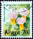 KENYA - CIRCA 1983: A stamp printed in Kenya shows Shada Zambarau Dichrostachys cinerea, circa 1983.