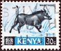 KENYA - CIRCA 1966: A stamp printed in Kenya shows a Warthog, circa 1966. Royalty Free Stock Photo