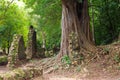 Kenya, Gede ruins laid in the vicinity of the Malindi resort Royalty Free Stock Photo