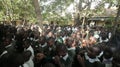 KENYA, KISUMU - MAY 23, 2017: Big crowd of African children in uniform sitting on a ground outside near school.