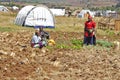 Kenya Red Cross Refugie Camp. Rot-Kreuz-FlÃÂ¼chtlingslager in Eldoret