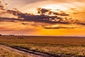 Kenya Sunset Landscape Golden Hour Sunrise Maasai Mara National Game Reserve Park Narok County Kenya East Africa Royalty Free Stock Photo