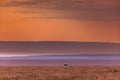 Kenya Sunset Sunrise Landscape Dramatic Clouds Golden In Maasai Mara National Game Reserve Park Narok County Kenya East AFrica Royalty Free Stock Photo