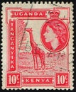 Stamp printed in British East Africa Kenya, Uganda and Tanganyika shows animal