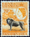 KENYA UGANDA TANGANYIKA - CIRCA 1954: A stamp printed in Kenya Uganda Tanganyika shows a lion and Queen Elizabeth II, circa 1954.