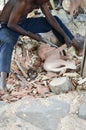 Kenyan craftsman carving two lions