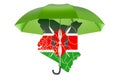 Kenyan map under umbrella. Security and protect or insurance concept, 3D rendering Royalty Free Stock Photo