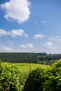 Kenya Landscapes Tea Leaves Farm Farming Plantations Fields Meadows Agriculture Agribusiness Travel Documentary In Limuru Kiambu Royalty Free Stock Photo