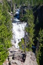 Kepler Cascades in Yellowstone National Park, USA Royalty Free Stock Photo