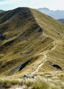 Kepler track