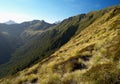 Kepler track