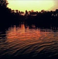 Kerala, anthikad pond silhouette image at evening sunset Royalty Free Stock Photo