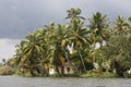 Kerala backwaters Royalty Free Stock Photo