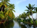 Kerala Backwaters, India Royalty Free Stock Photo