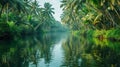 Kerala Backwaters