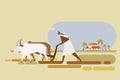 An Indian farmer plows the paddy field using bullocks Royalty Free Stock Photo