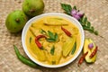 Kerala fish curry with raw mango coconut milk or Bengali Rohu or Barracuda Royalty Free Stock Photo