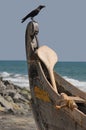 Kerala fishing boat Royalty Free Stock Photo