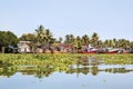 Kerala fishing boats moored trapped by hyacinth Royalty Free Stock Photo