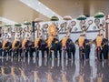 Kerala, India - December 12, 2018: Statues of elephants in Cochin international airport Kerala. India.