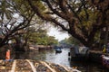 An Indian male fisherman on a traditional wooden boat sails through a channel overgrown with algae Royalty Free Stock Photo