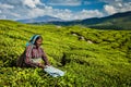 Indian woman harvests tea leaves at tea plantation at Munnar